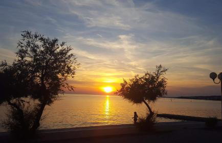 Villa Gravić - Foto 12