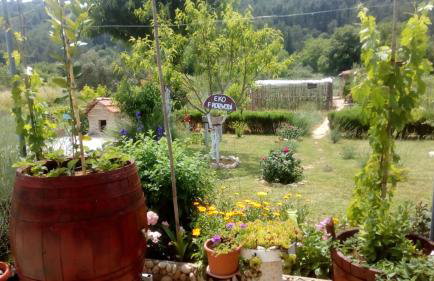 Apartman Rosa - Foto 1