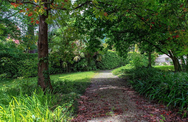 L'Orangerie di Villa Mayer - Photo 36