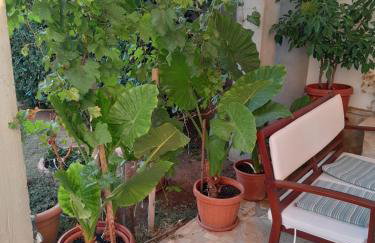 Apartments VESNA - Photo 11