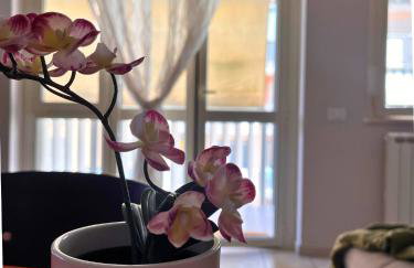 Casa Vaere a pochi minuti dall'aeroporto - Foto 24