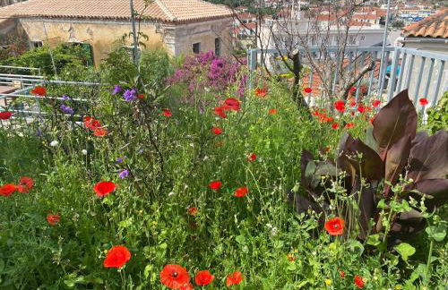 Antiklea Villa - Foto 14