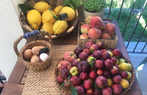 Agriturismo LaValleggia - Foto 111