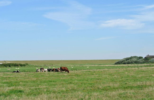 South Case in the House aft Diek - Foto 10