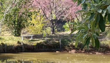 Sítio Bela Vista - Foto 3