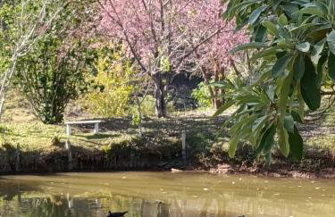 Sítio Bela Vista - Photo 3