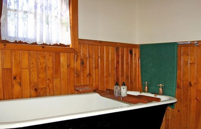 Forest Edge - Foto 49