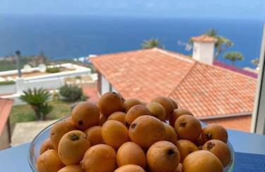 Exotic Ocean View Apartment - Foto 26