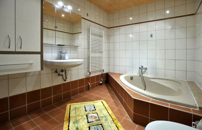 Pension Abertham - Foto 61