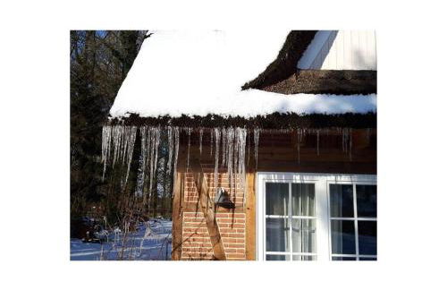 Apartment at the Eichenpark - Foto 3