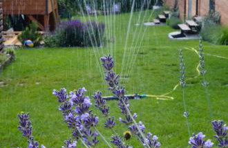 Lawendowo- sauna, jacuzzi, domki w ogrodzie i apartamenty w kamienicy - Photo 45