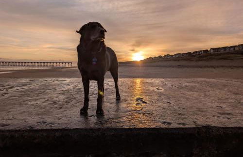 Jakes Beach house - Photo 7