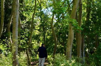 The Little Barn - Foto 56