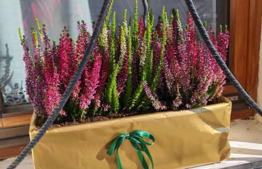 In Cima alla Contrada - Foto 18