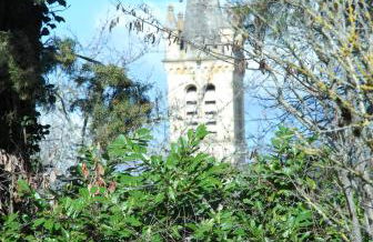 Maison Le Petit Bonheur - Foto 18