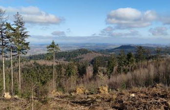 Ferienwohnung - Nadine - Foto 34