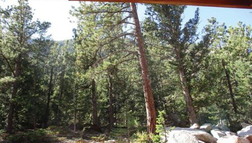 Skiers Cabin at Base Camp Lodging Company - Foto 5