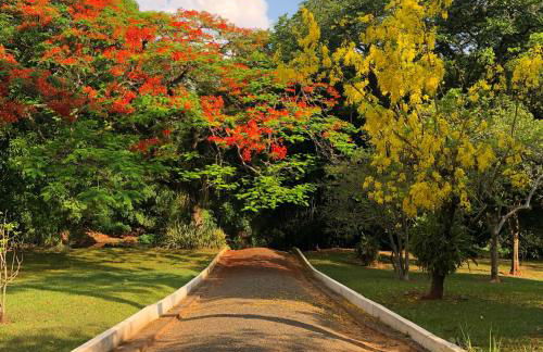 Chácara Paradisíaca às margens do Rio Jaguari - Foto 52