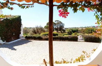 Quinta do Lagar - 02 - Foto 19