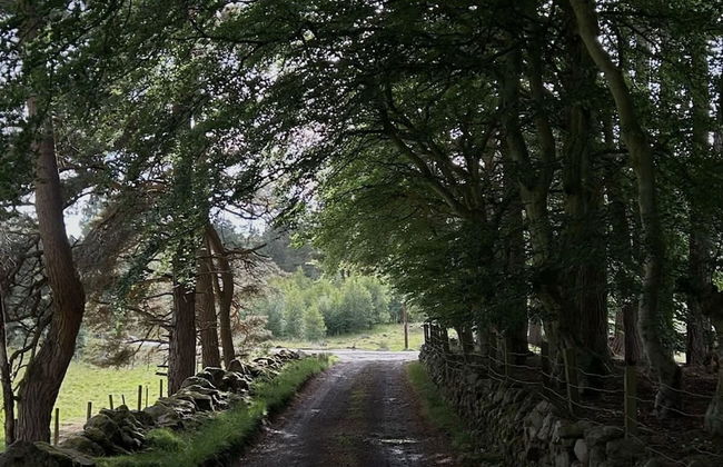 Oldschool - Exclusive House Surrounded by a Dyke - Photo 5
