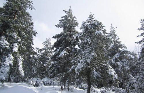 Casa Oeste - Photo 58