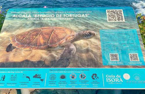 Alcalá Center Playa - Photo 26