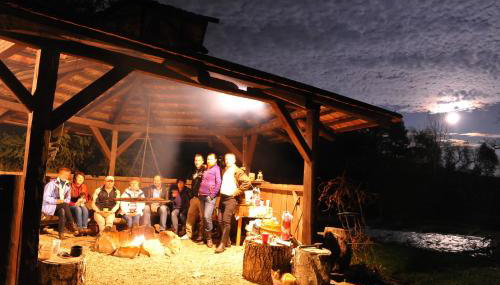 Dwor Trzesniow - Foto 3