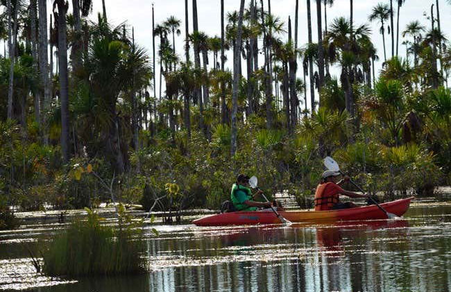 Tambopata National Reserve & Rainforest 4 Day Tour - Photo 2