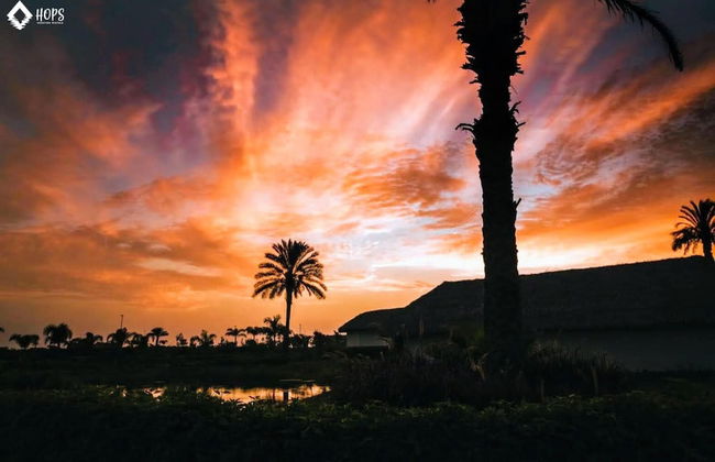 HOP Aruba Exclusiva Oasis y Playa en Chincha - Foto 25