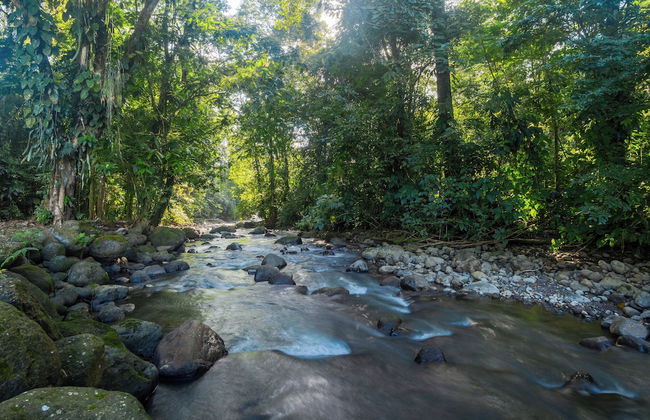 Kaluma Villas - Foto 50