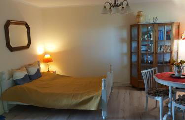 Ogród Pałacowy - Foto 13