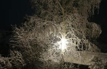 Ferienhaus "Kleine Auszeit" Parkstraße - Foto 35
