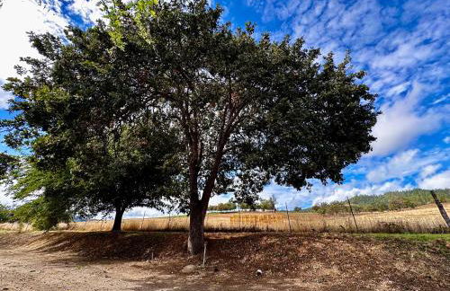 Farmhouse RV - Sunset Pergola - Fire Pit - Views - Foto 13