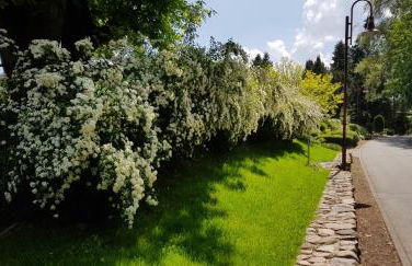 Ferienwohnung am Schweriner See - Foto 15