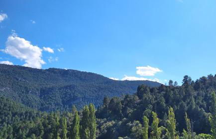 Apartamentos El Callejón - Foto 27