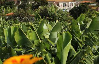 Vila Marta - Foto 24