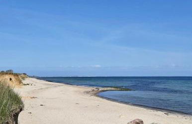 FeWo-Krone - Foto 15