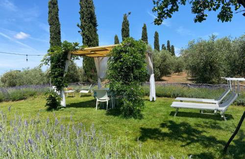 Tenuta Le Mandorlaie, Agriturismo in Scansano - Foto 60