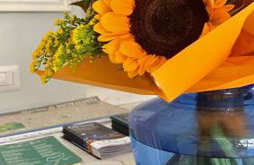 Pietrasantamare - Foto 32