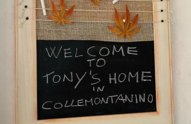 Tony's Home - Foto 13