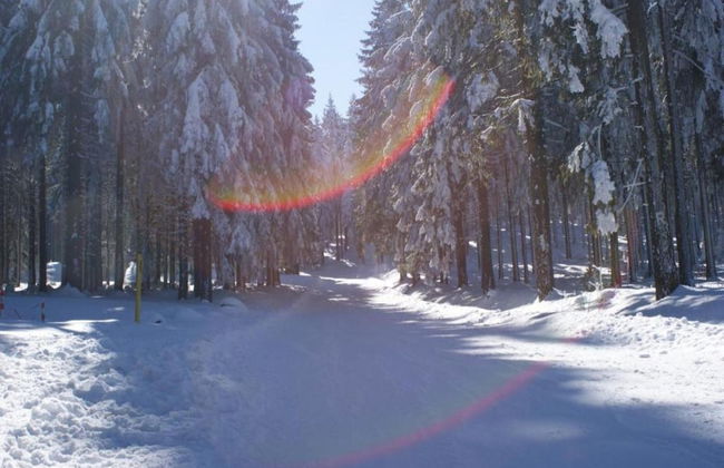 Apartment With Forest in Goldisthal Thuringia - Foto 38