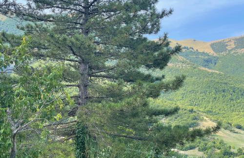 Piè del Colle Country - Foto 26