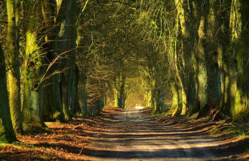 Ferienhaus Liwi - Foto 8