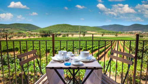 Poggiolivi Agriturismo Bio in Maremma - Photo 2