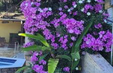 Solar do Forte Flats - Foto 42