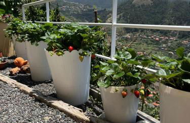 Tropical House - Foto 36