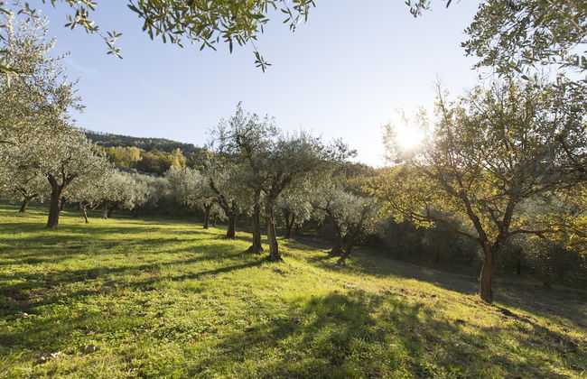 Podere le Corone - Foto 45