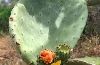 sunset apartment - Foto 14