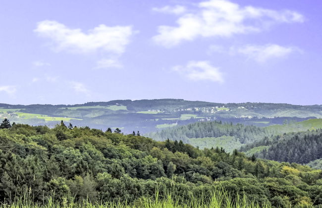 1 bedroom Apartment in Fuchshofen with garden - Photo 28