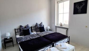 Wohnung mit Blick auf den Rheingrafenstein - Photo 5